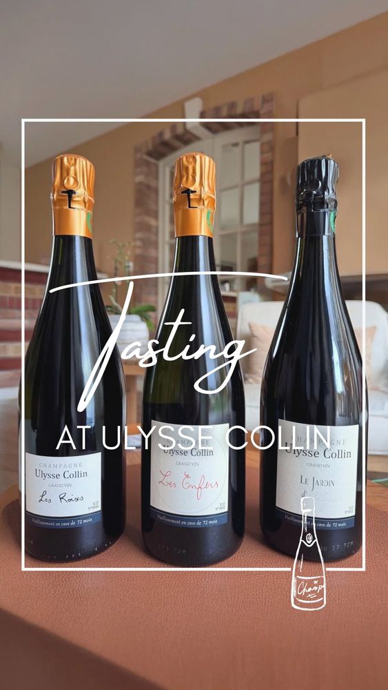 ✨ Ulysse Collin - der Kultchampagner unter den Grower Champagnes 🥂🍾
Wenn es um echte Winzerkunst geht, führt kein Weg an Olivier Collin vorbei. Ein kleiner, feiner Familienbetrieb, mitten im abgelegenen Congy. Hier entstehen Champagner, die längst Referenzstatus erreicht haben: reine Einzellagen, teils sehr lange Hefereife und eine Terroir-Präzision, die Gänsehaut macht. 😍👏🏽
Unger Weine ist seit Tag eins Importeur dieser Raritäten. Flaschen, die du ausschließlich auf den Listen der absoluten Spitzengastronomie findest. 🥂🍾
Pure Handwerkskunst. Pure Persönlichkeit. Pure Perfektion. ✨
#ungerweine #ulyssecollin #champagne #rarechampagne