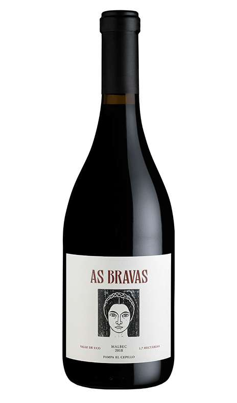 2018 El Enemigo As Bravas El Cepillo Malbec