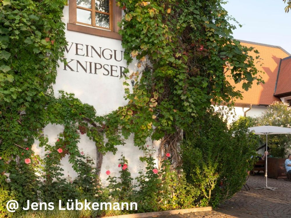 Bild von Knipser