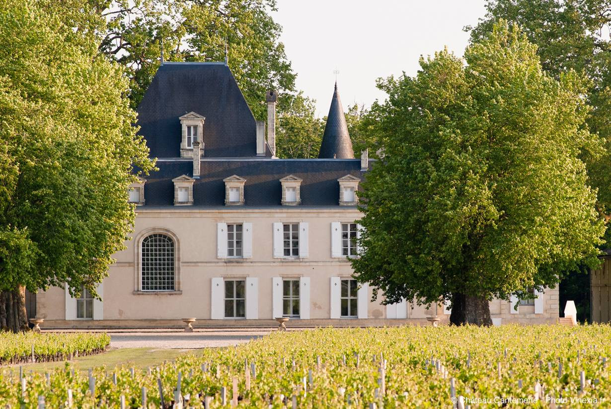Bild von Chateau Cantemerle