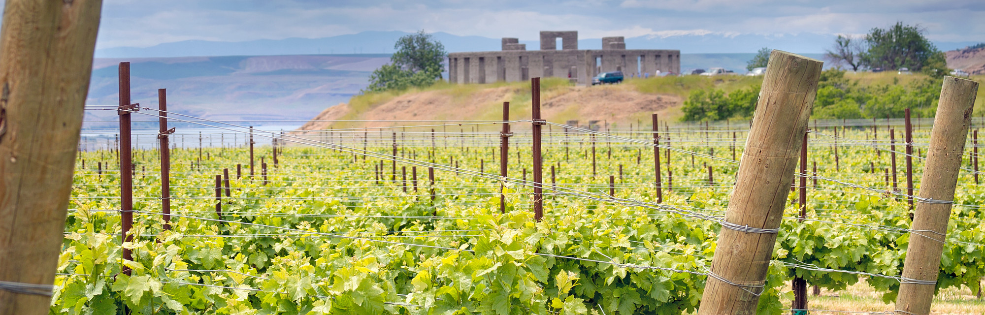 Washington State Vineyards