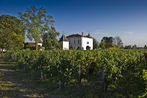 Chateau Quinault l´Enclos