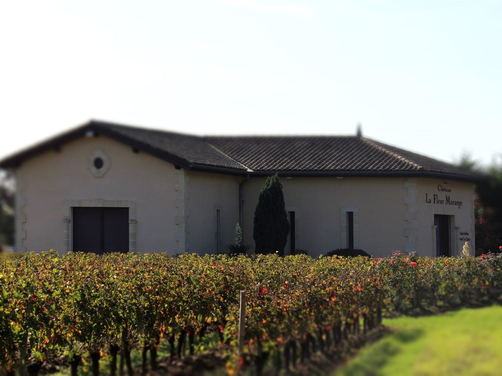 Bild von Chateau La Fleur Morange
