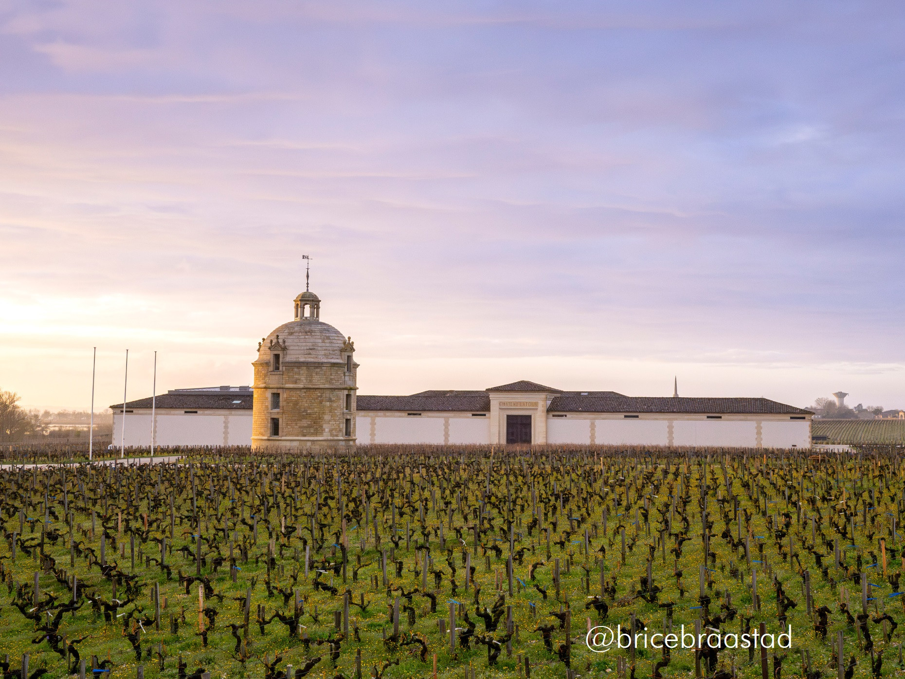 Bild von Chateau Latour