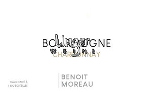 2020 Bourgogne Chardonnay Benoit Moreau Cote d´Or