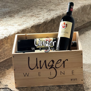 2020 Seigneurs d´Aiguilhe "Unger Weine - 6er OHK" Chateau d´Aiguilhe Cotes de Castillon