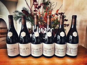 2019 Kollektion Dugat Py Burgund