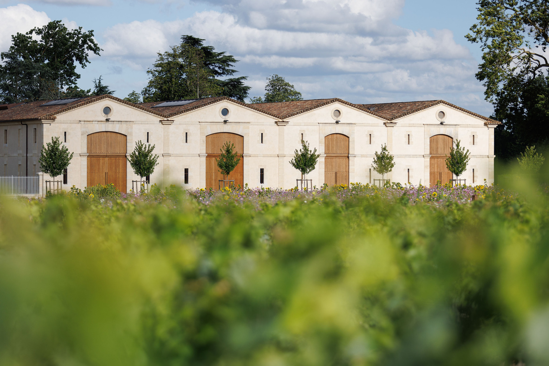 Bild von Chateau d`Armailhac