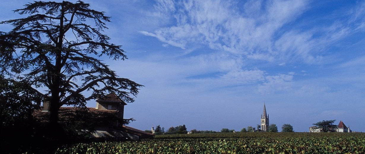 Bild von Chateau La Serre