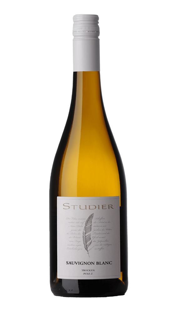 Weingut Studier - Sauvignon Blanc Campus 2024