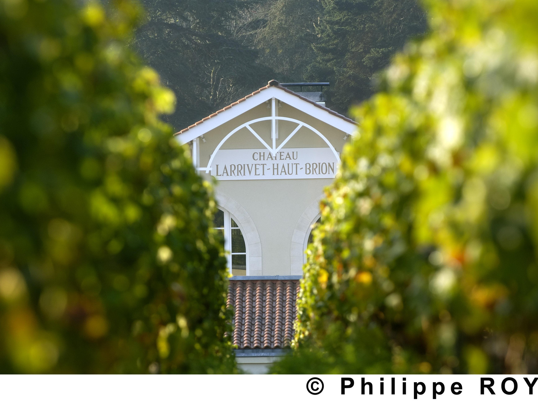 Bild von Chateau Larrivet Haut Brion