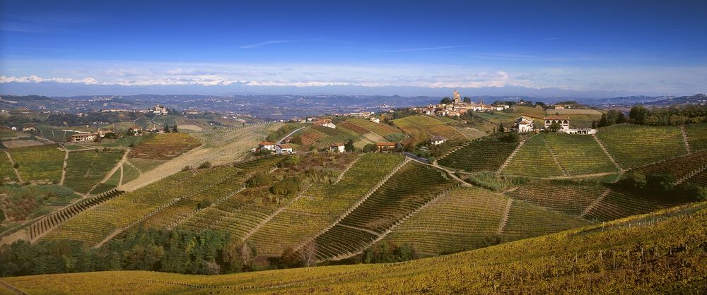 Bild von Giacosa, Bruno