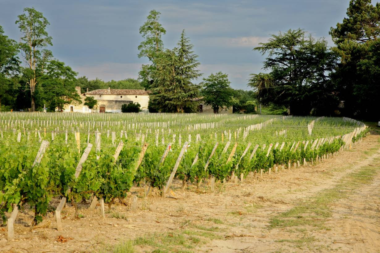Bild von Chateau Haura