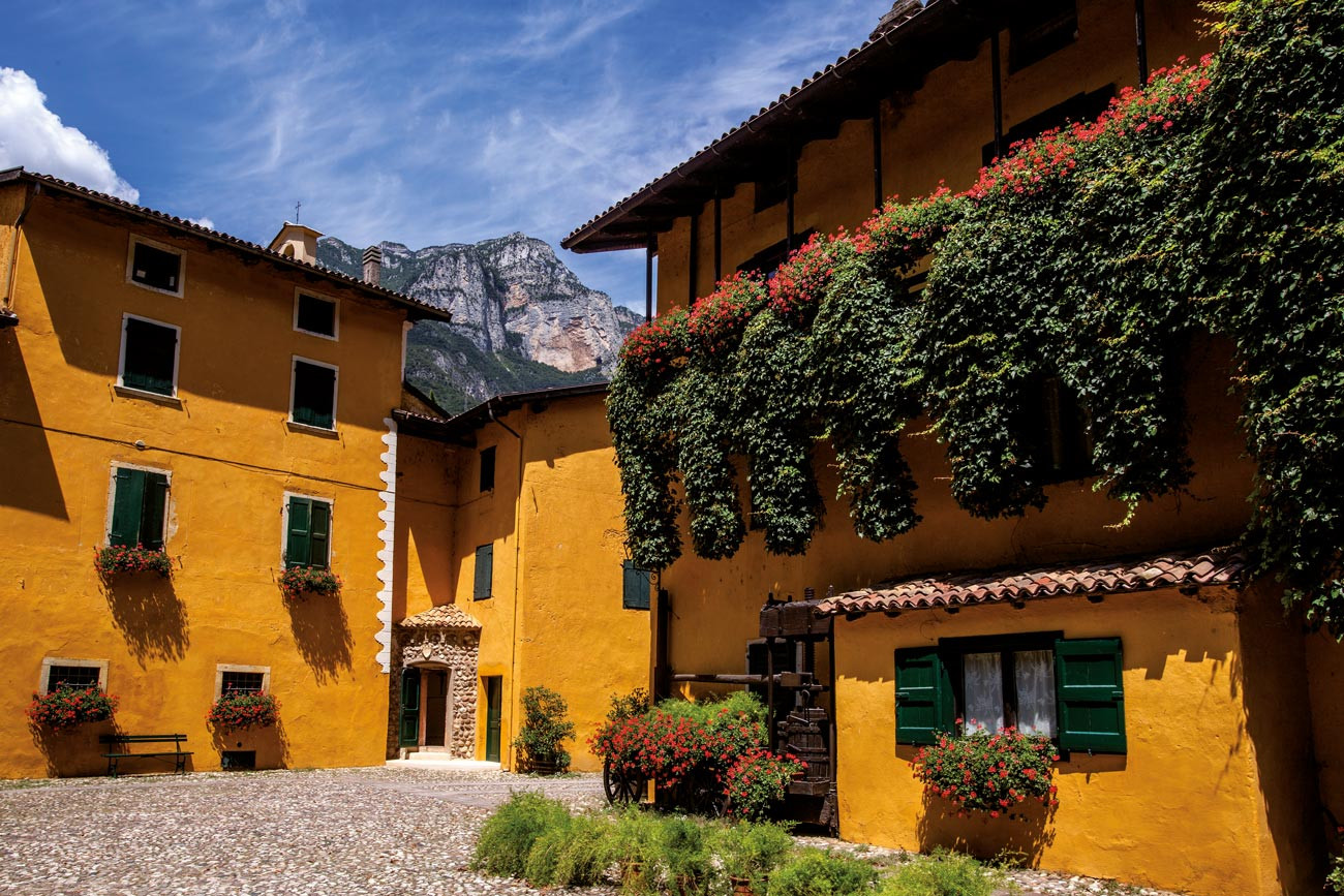 Bild von Tenuta San Leonardo