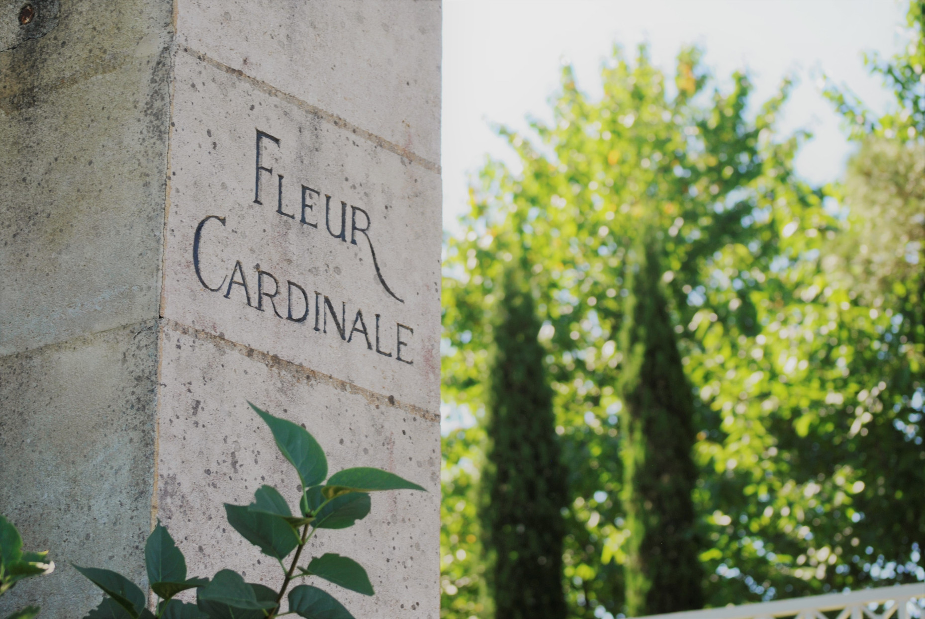 Chateau Fleur Cardinale