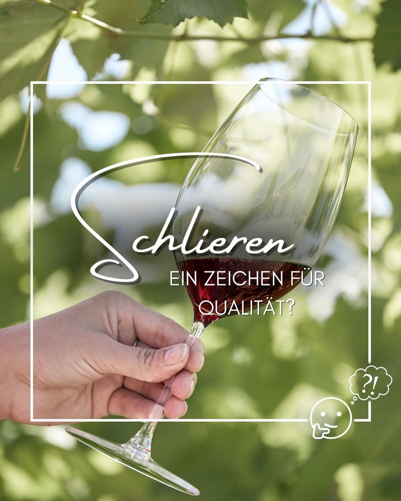 Sie haben bestimmt schon einmal bemerkt, wie sich beim Schwenken Ihres Lieblingsweins Schlieren im Glas bilden. Diese "Tränen" oder "Kirchenfenster" sind nicht nur schön anzusehen, sondern verraten auch einiges über den Wein! 🤔

Was steckt dahinter?

✨ Der Marangoni-Effekt: Alkohol verdunstet schneller als Wasser, was die Oberflächenspannung verändert und die Schlieren entstehen lässt.

✨Alkoholgehalt: Eng beieinanderliegende Schlieren deuten auf einen höheren Alkoholgehalt hin!

✨Zuckergehalt: Dicke Tränen mit schmalen Fenstern können auf einen höheren Zuckergehalt hinweisen.

Aber Achtung! Diese Schlieren sagen nichts über die Qualität des Weins aus. Sie sind einfach ein faszinierendes physikalisches Phänomen!

#UngerWeine #Weinwissen #SchlierenImGlas #MarangoniEffekt #Weinliebhaber #WineLover #PhysikImAlltag