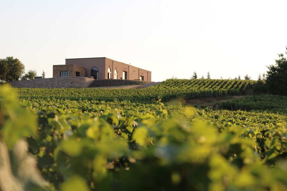 Bild von Domaine Tupinier-Bautista
