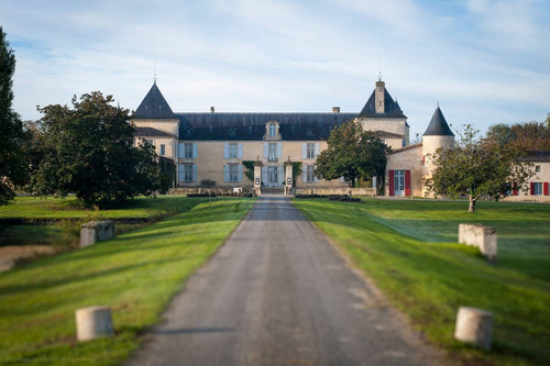 Chateau Suduiraut