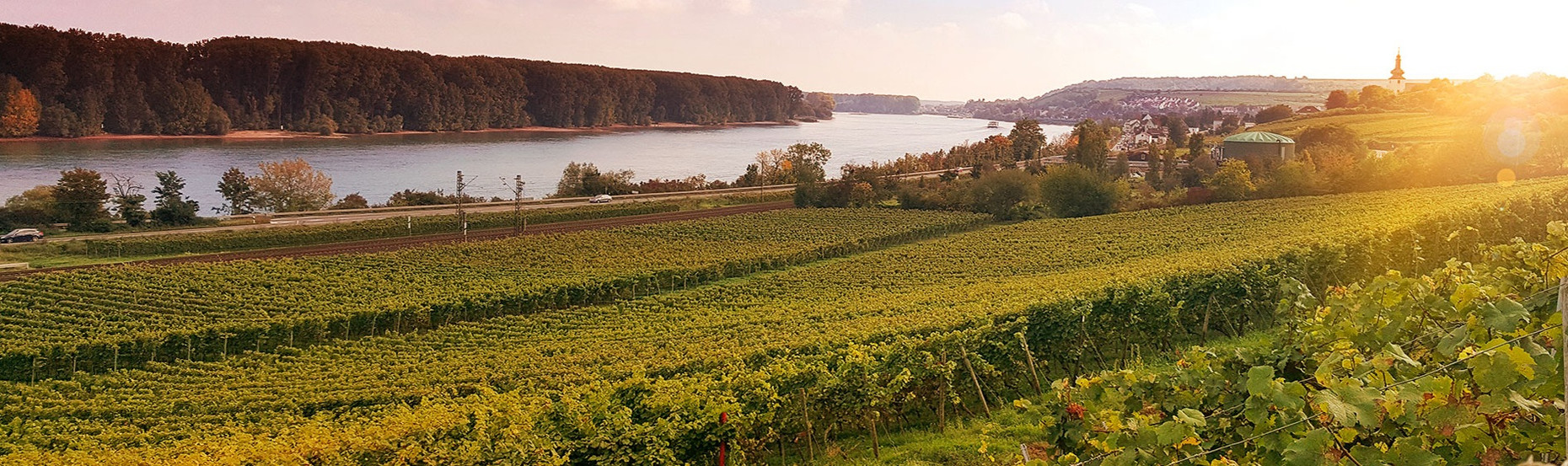 Weingut W.E. Frank