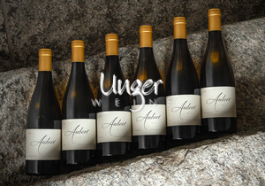 2021 Kollektion Aubert Sonoma Coast