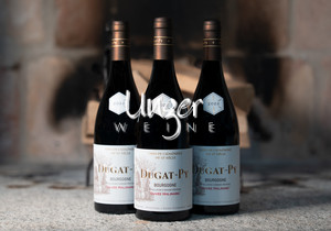 2022 Bourgogne Cuvee Halinard AC Vorteilspaket Dugat Py Cote de Beaune