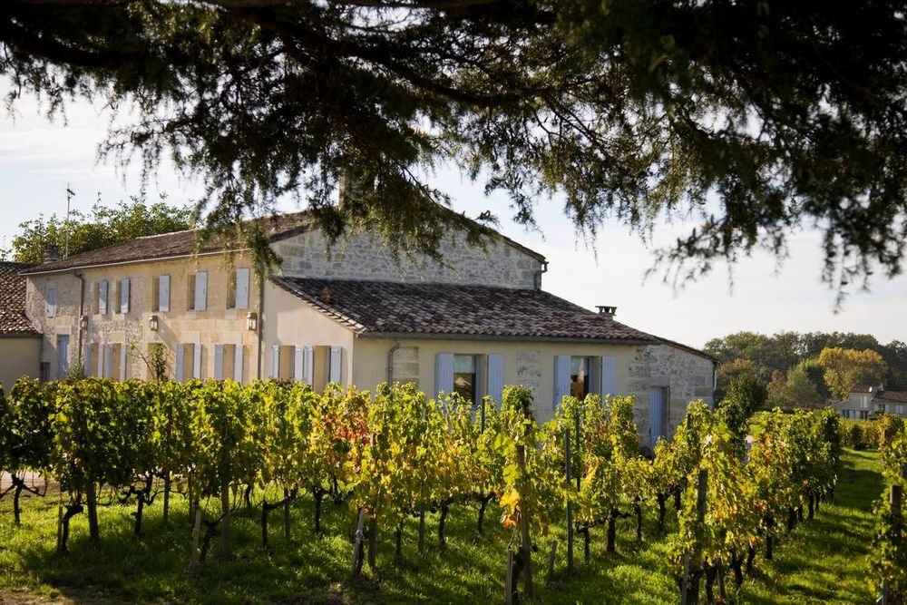 Bild von Chateau Clos Dubreuil