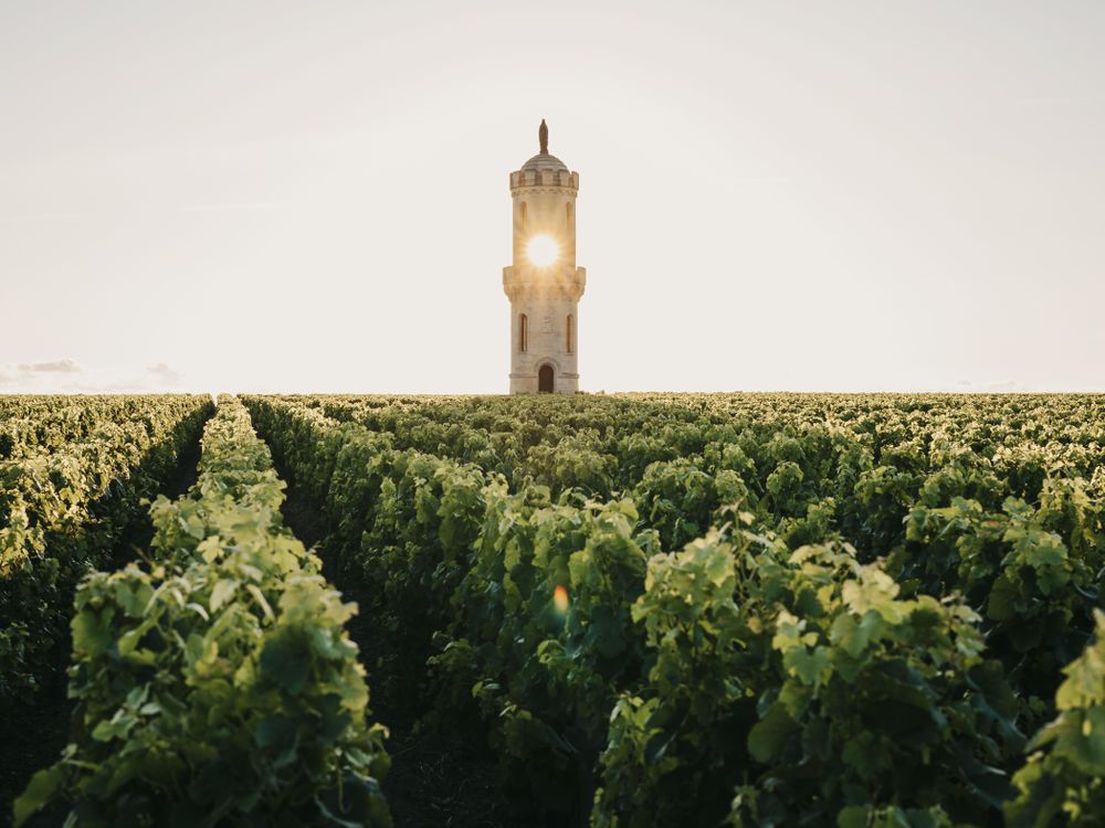 Bild von Chateau Haut Batailley