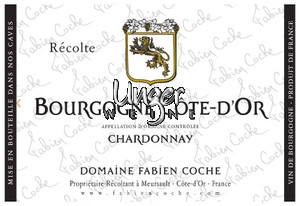 2021 Bourgogne Cote D’Or Chardonnay Domaine Fabien Coche Burgund