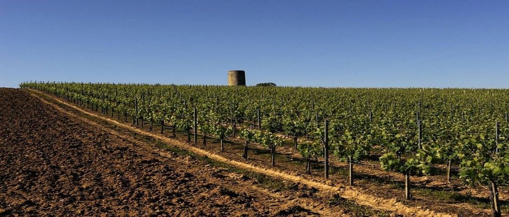 Bild von Chateau Montlandrie