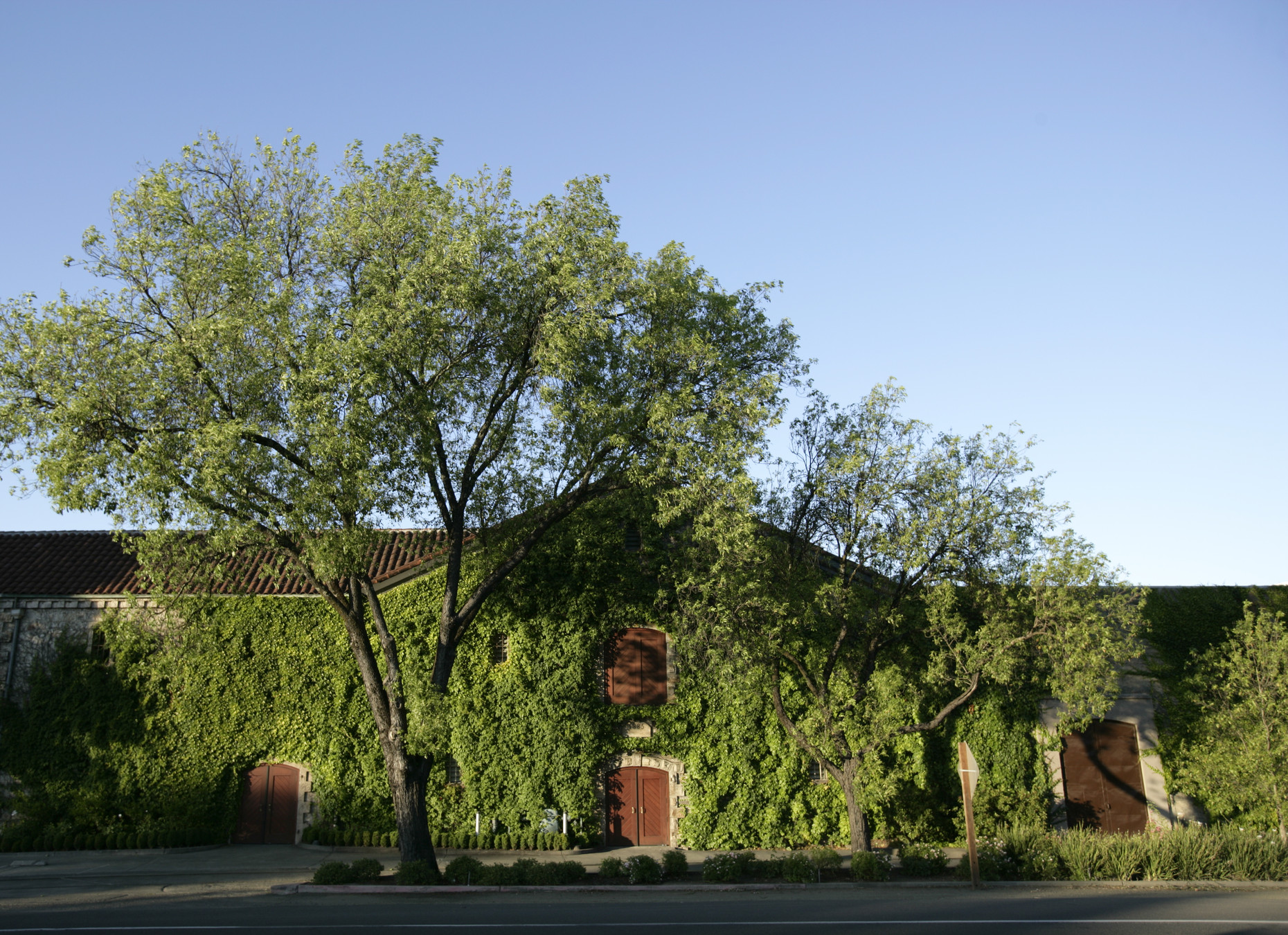 Beaulieu Vineyard