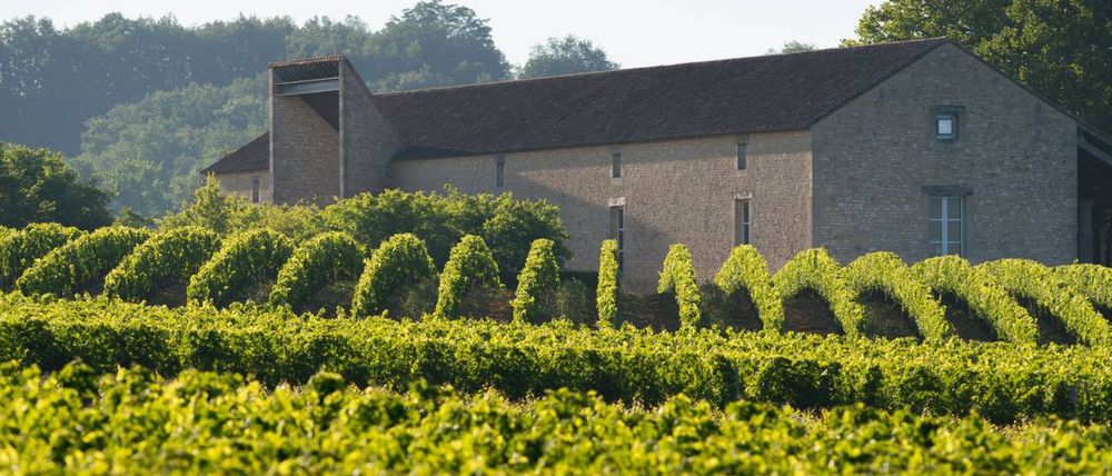 Bild von Chateau Cap de Faugeres