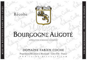 2020 Bourgogne Aligoté Vieilles Vignes Domaine Fabien Coche Burgund