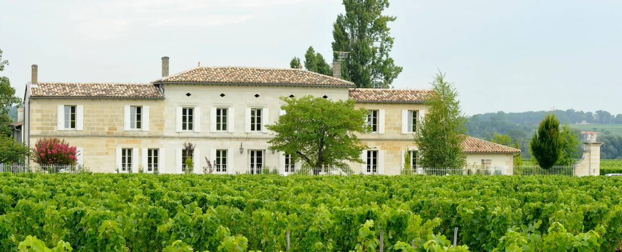 Chateau Grand Corbin Despagne