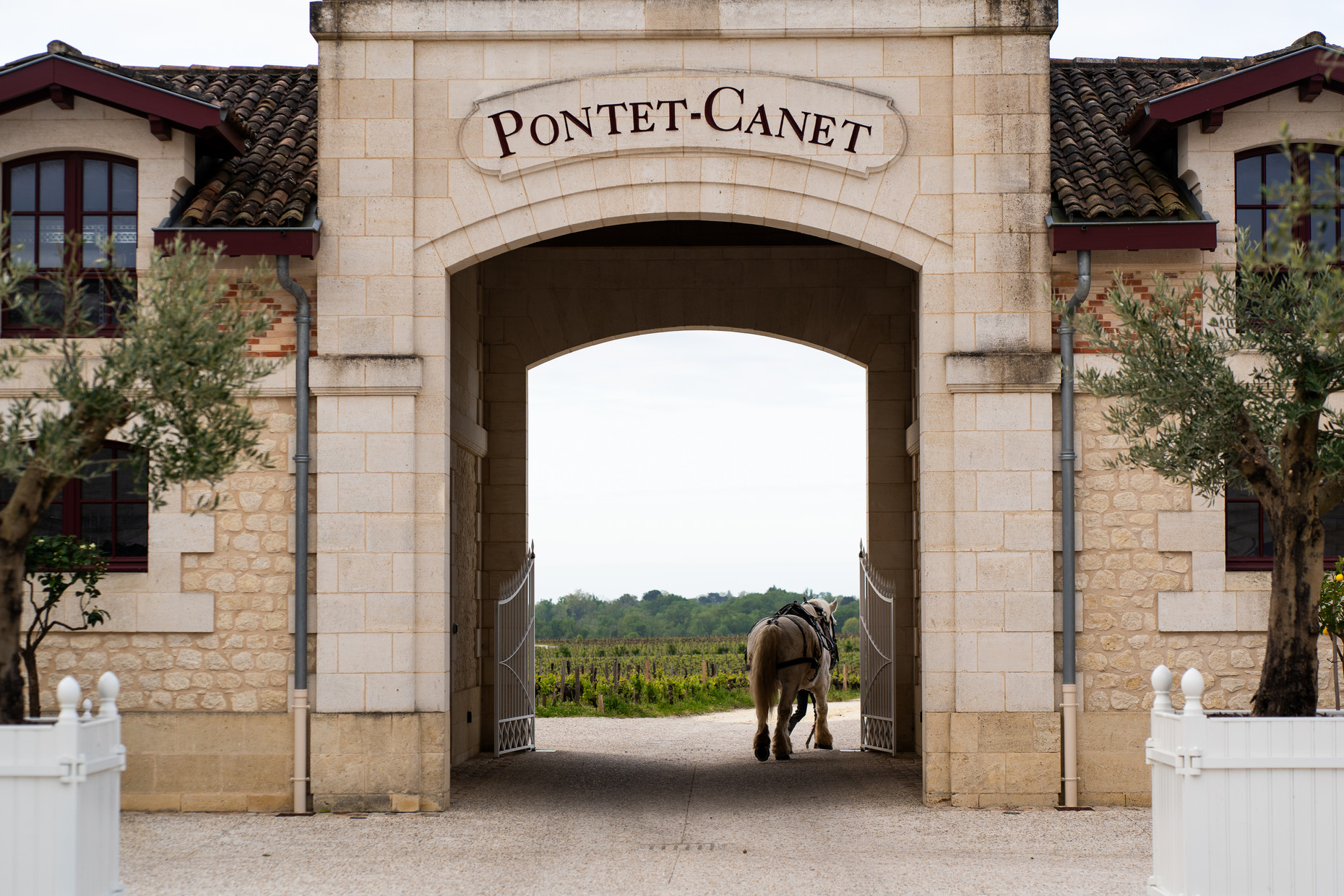 Bild von Chateau Pontet Canet
