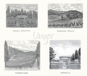 2013 Assortment Abreu Napa Valley