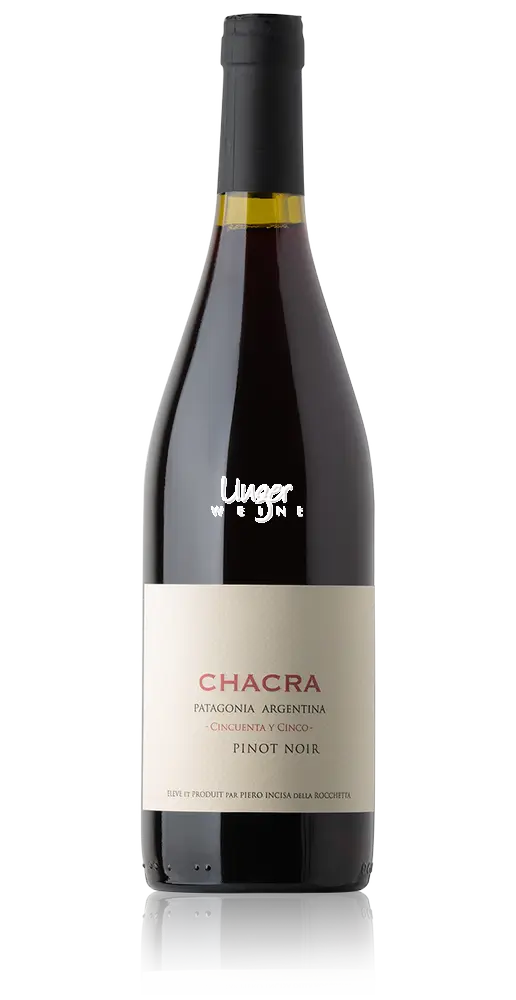 Domaine de Chevalier 2013 🍷 Unger Weine