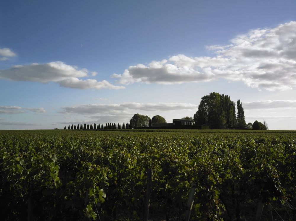 Bild von Chateau Trotanoy