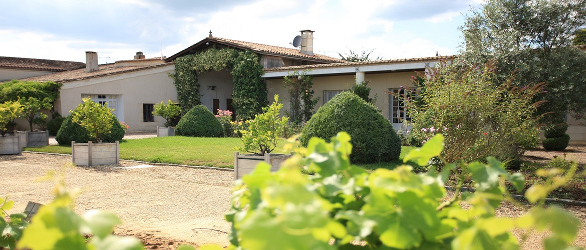 Bild von Chateau Doisy Daene