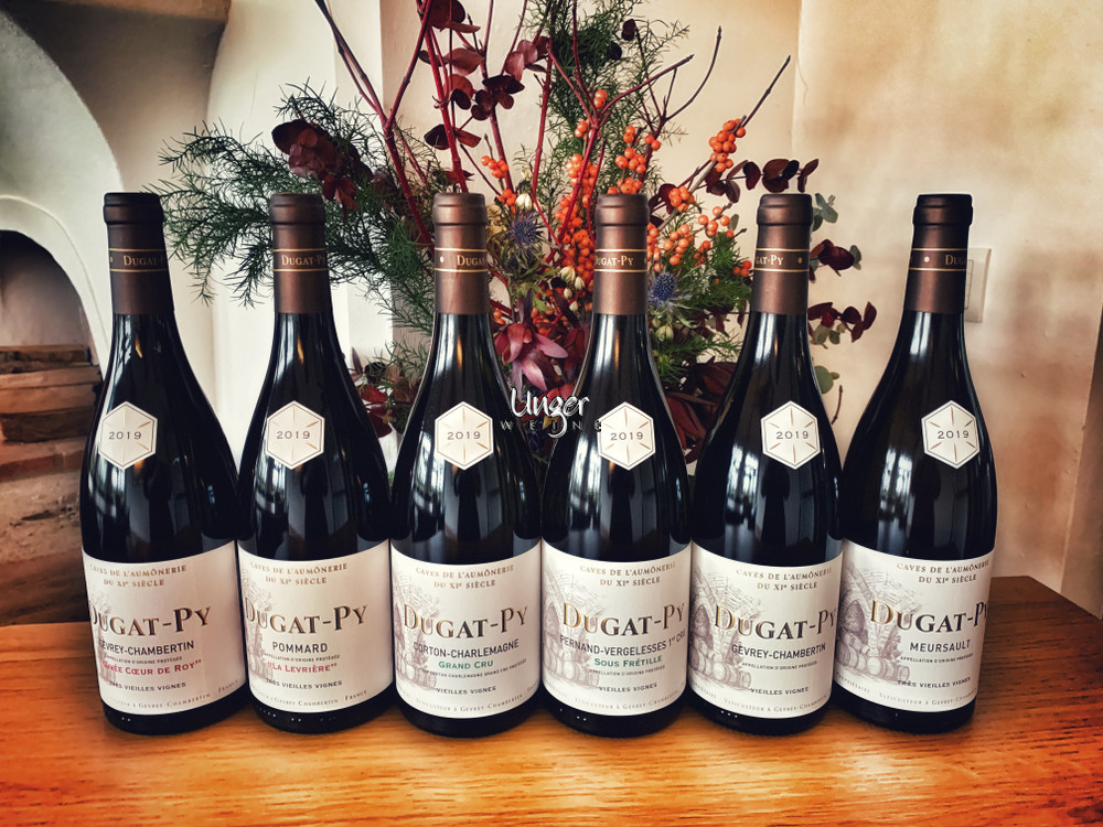 2019 Kollektion Dugat Py Burgund