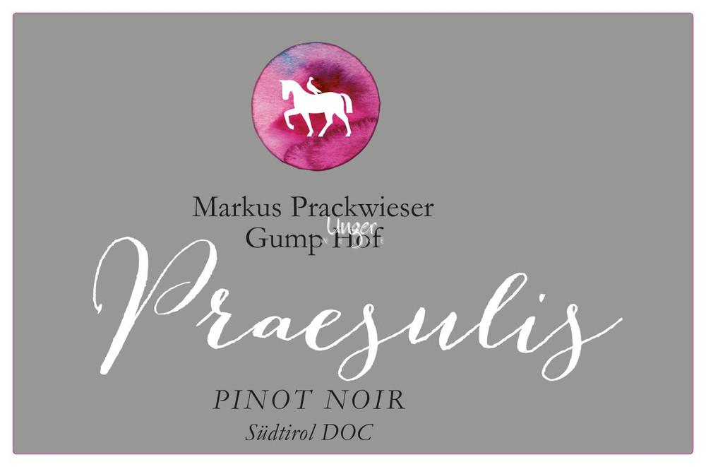 Gump Hof - Praesulis Pinot Noir 2021