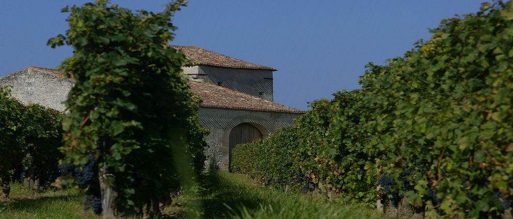 Bild von Chateau Alcee